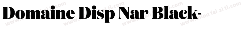 Domaine Disp Nar Black字体转换